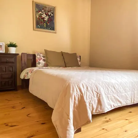 House In Oldtown Apartment Druskininkai