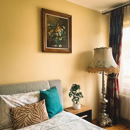 House In Oldtown * Druskininkai