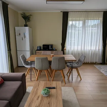 House In Oldtown Apartment Druskininkai