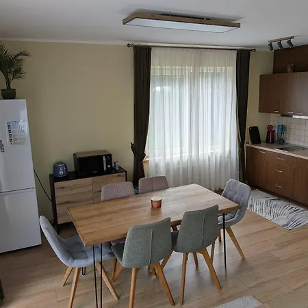 House In Oldtown Apartment Druskininkai